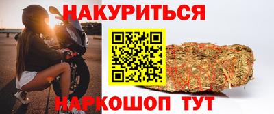 стаф Будённовск