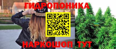 стаф Будённовск