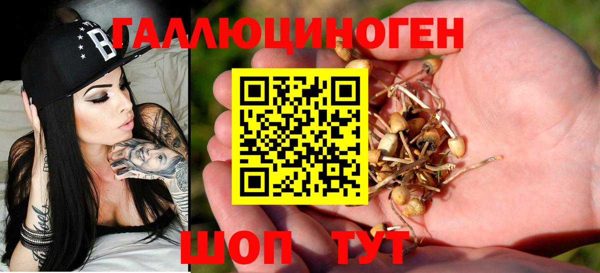 Псилоцибиновые грибы Psilocybe Мурино